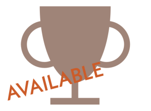 Bronze Sponsor Icon